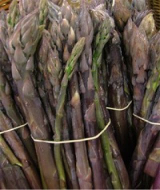 Purple Passion Asparagus